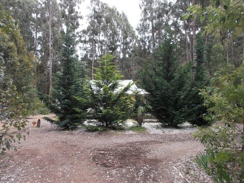 Lot 158 Karri Lane, Quinninup WA 6258