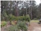 Lot 158 Karri Lane, Quinninup WA 6258