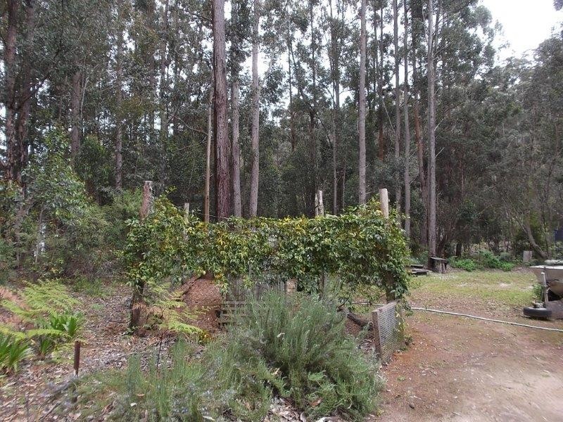 Lot 158 Karri Lane, Quinninup WA 6258