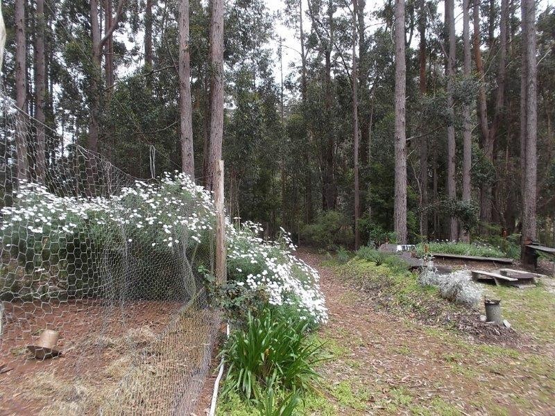 Lot 158 Karri Lane, Quinninup WA 6258