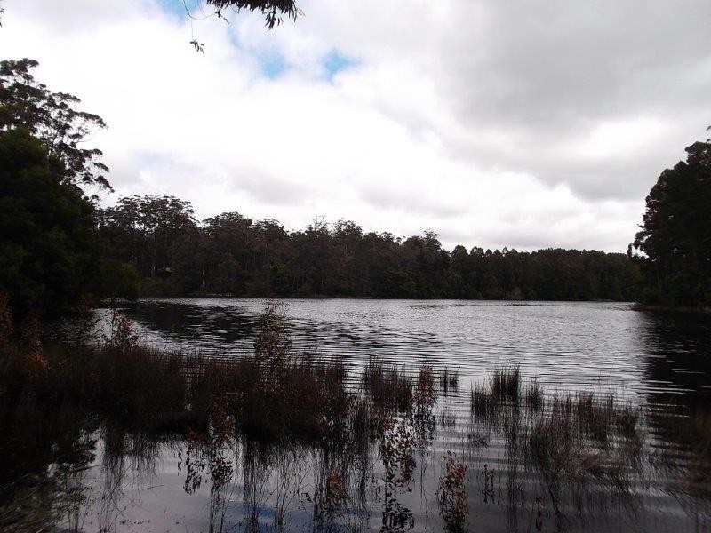 Lot 158 Karri Lane, Quinninup WA 6258