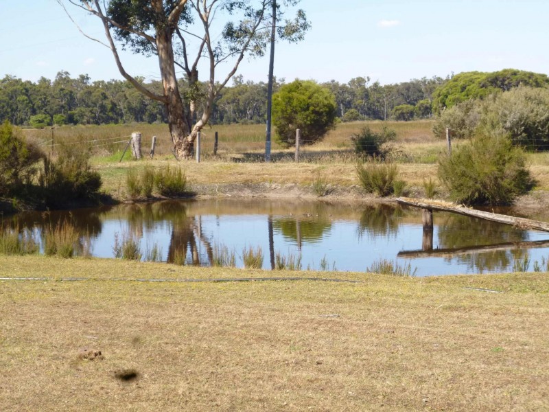 110 TOWER ROAD, Manjimup WA 6258
