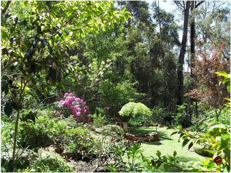 83 Karri Lane, Quinninup WA 6258