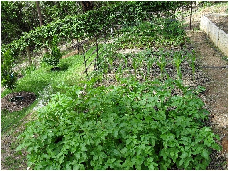 83 Karri Lane, Quinninup WA 6258