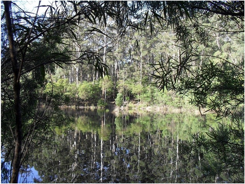 83 Karri Lane, Quinninup WA 6258