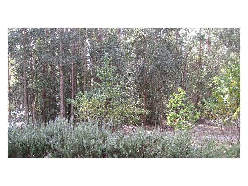 25 Karri Lane, Quinninup WA 6258