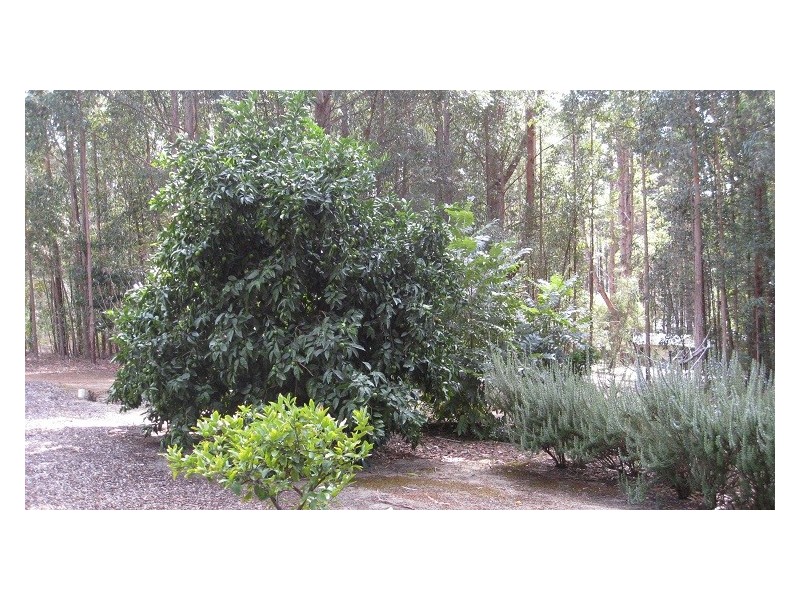 25 Karri Lane, Quinninup WA 6258