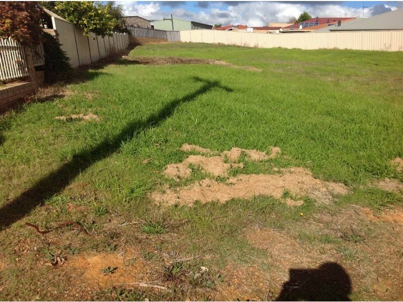 56 Karri Street, Manjimup WA 6258