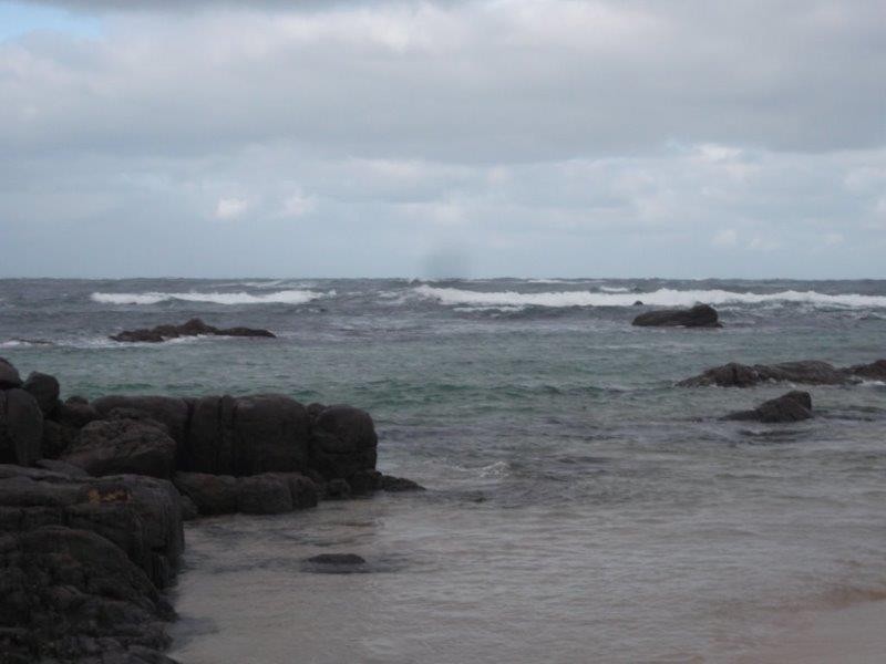 Lot 297 Mcallen Way, Windy Harbour WA 6262