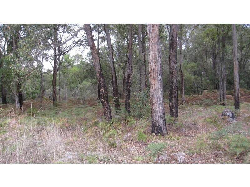 74 Kerr Green, Palgarup WA 6258