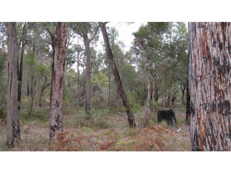 74 Kerr Green, Palgarup WA 6258