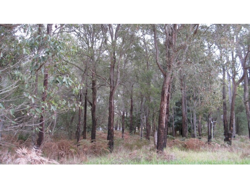 74 Kerr Green, Palgarup WA 6258