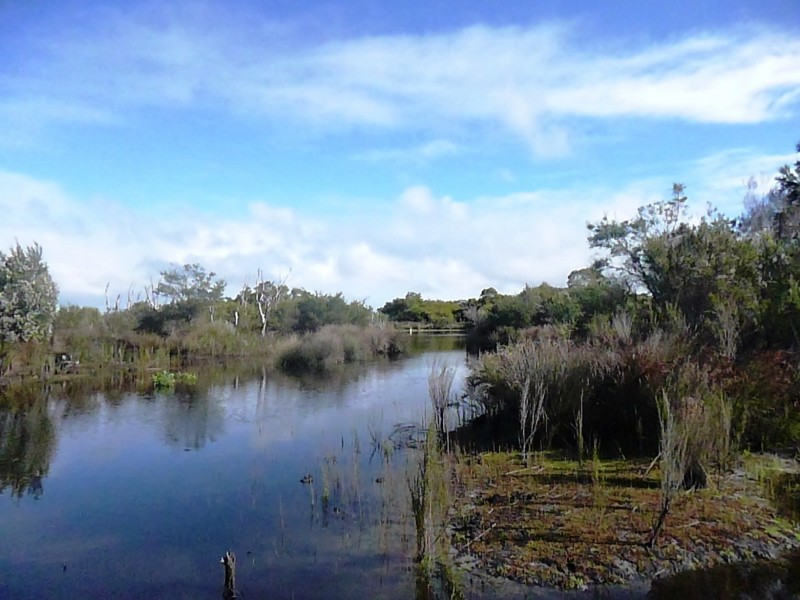 21 Karrang Place, Northcliffe WA 6262