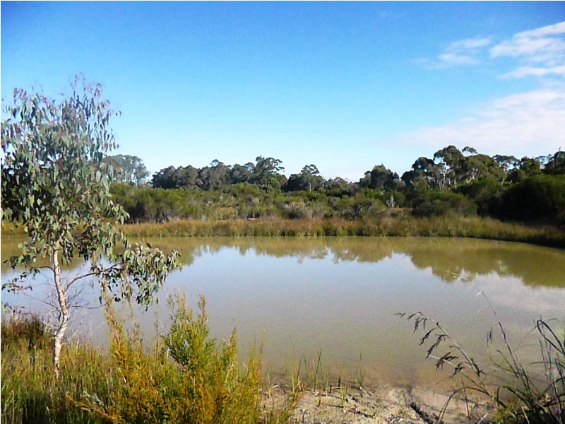 142 Pioneer Road, Northcliffe WA 6262