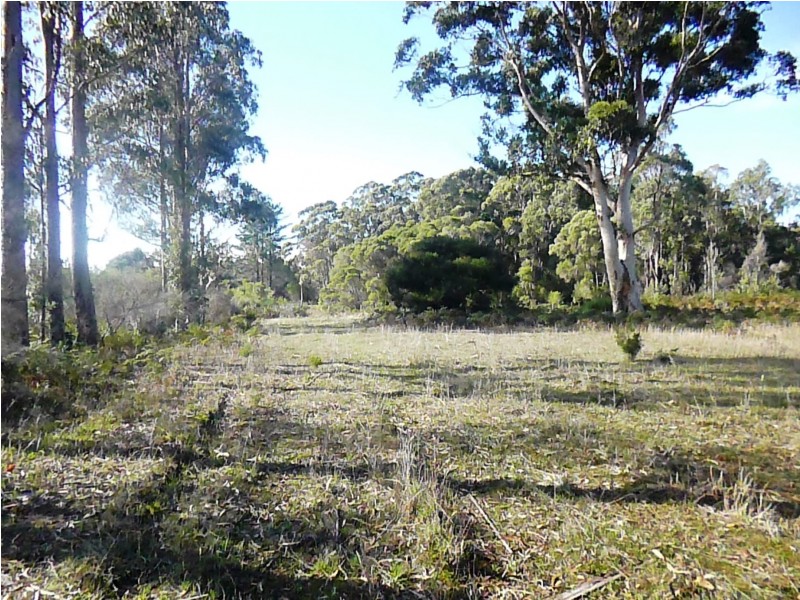 142 Pioneer Road, Northcliffe WA 6262