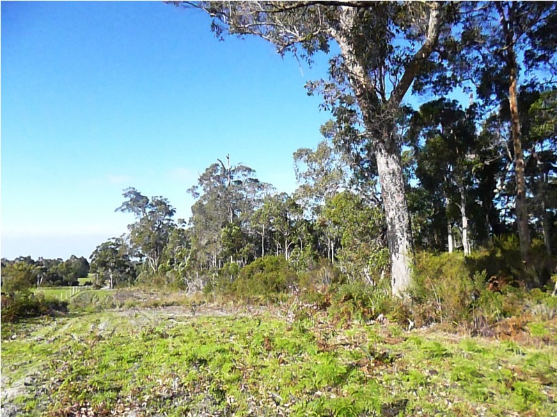 142 Pioneer Road, Northcliffe WA 6262