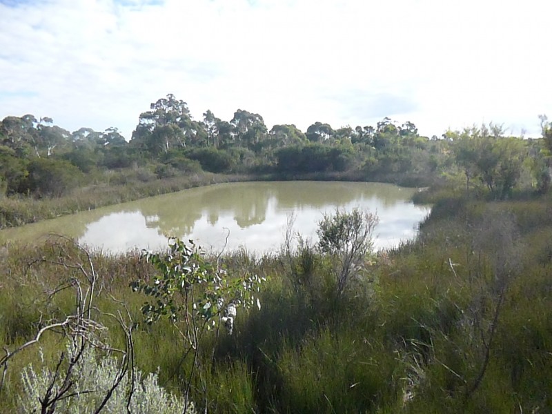 142 Pioneer Road, Northcliffe WA 6262