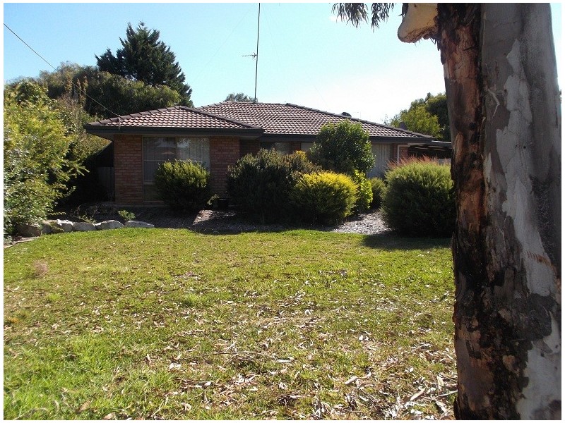 21 Ironbark Street, Manjimup WA 6258