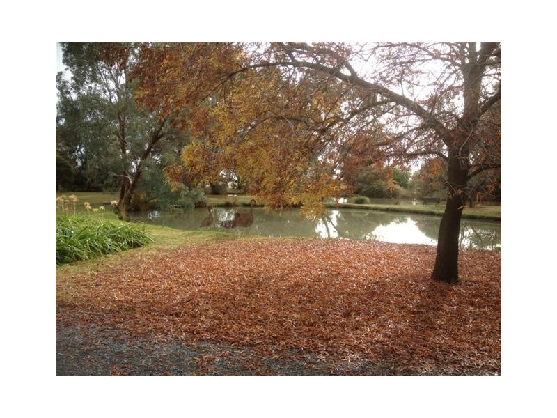 Echuca VIC 3564