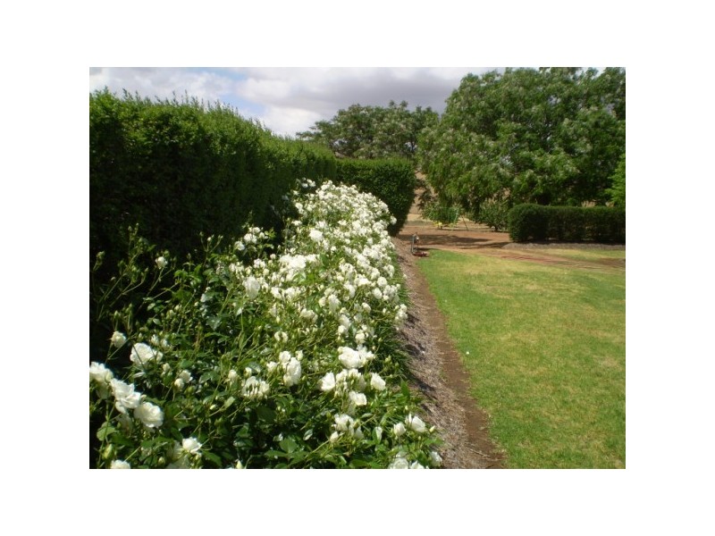 Marrar NSW 2652
