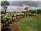 Marrar NSW 2652
