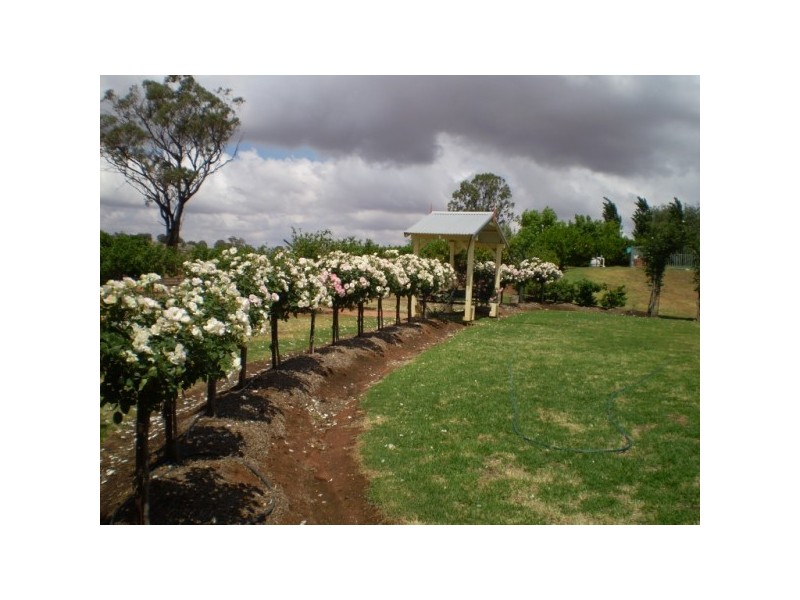 Marrar NSW 2652