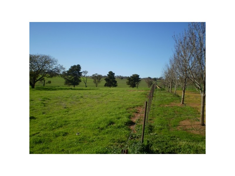 Marrar NSW 2652