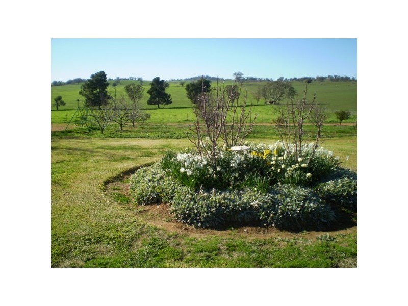 Marrar NSW 2652