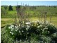 Marrar NSW 2652