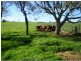 Marrar NSW 2652