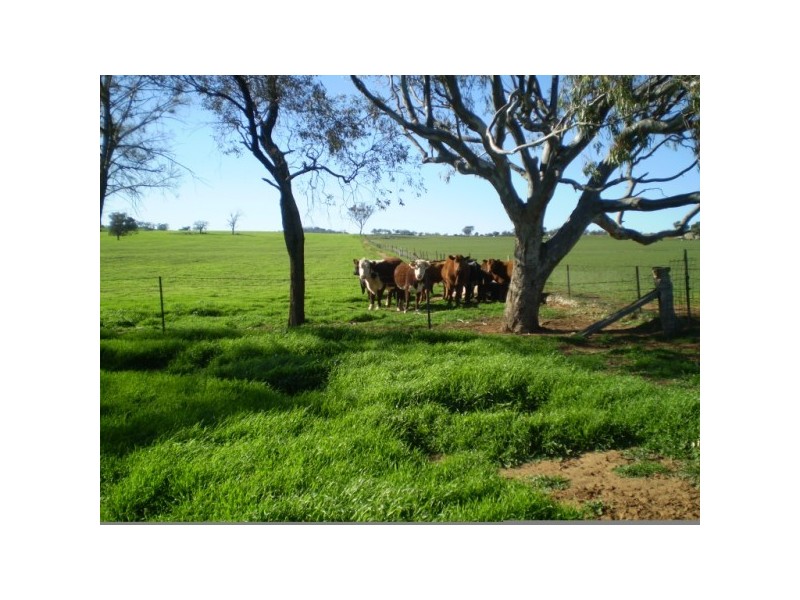 Marrar NSW 2652