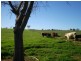 Marrar NSW 2652