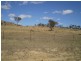 Bethungra NSW 2590