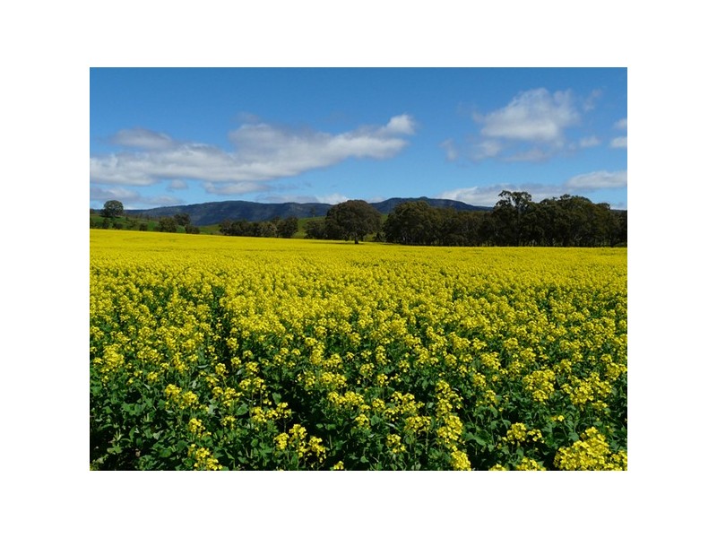 153 Greenhole Road, Stawell VIC 3380