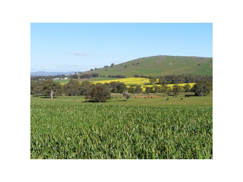 153 Greenhole Road, Stawell VIC 3380