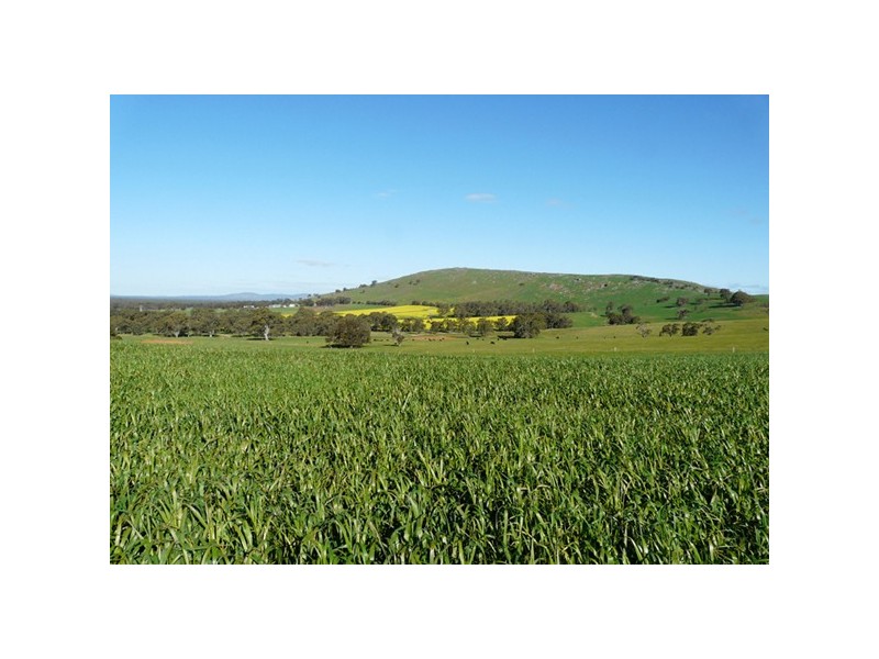 153 Greenhole Road, Stawell VIC 3380