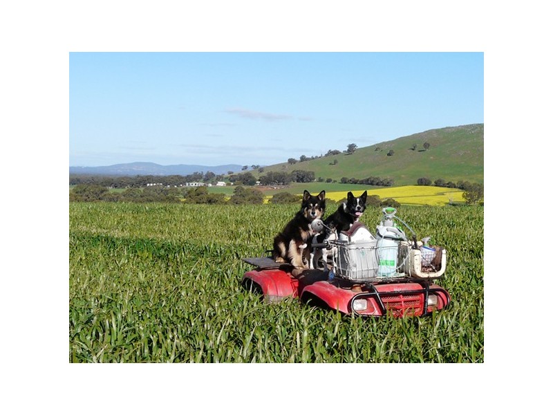 153 Greenhole Road, Stawell VIC 3380