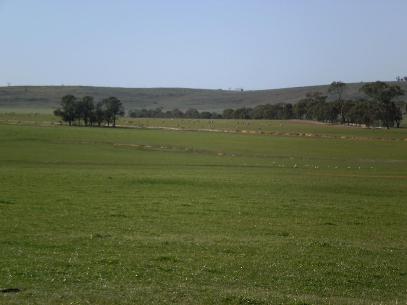 Gowar East VIC 3478