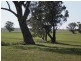 Gowar East VIC 3478