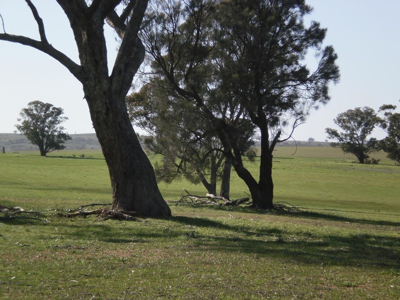Gowar East VIC 3478