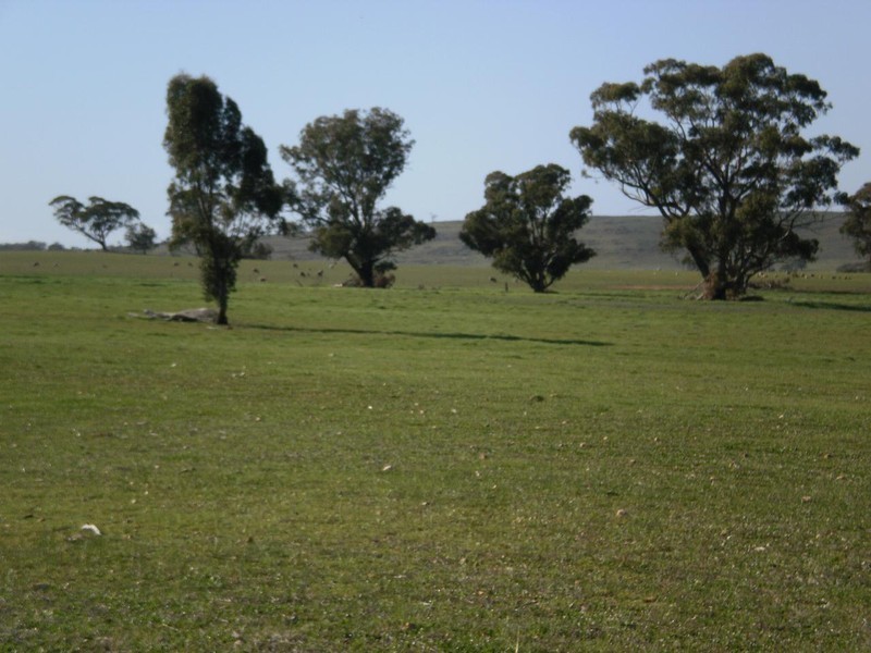 Gowar East VIC 3478