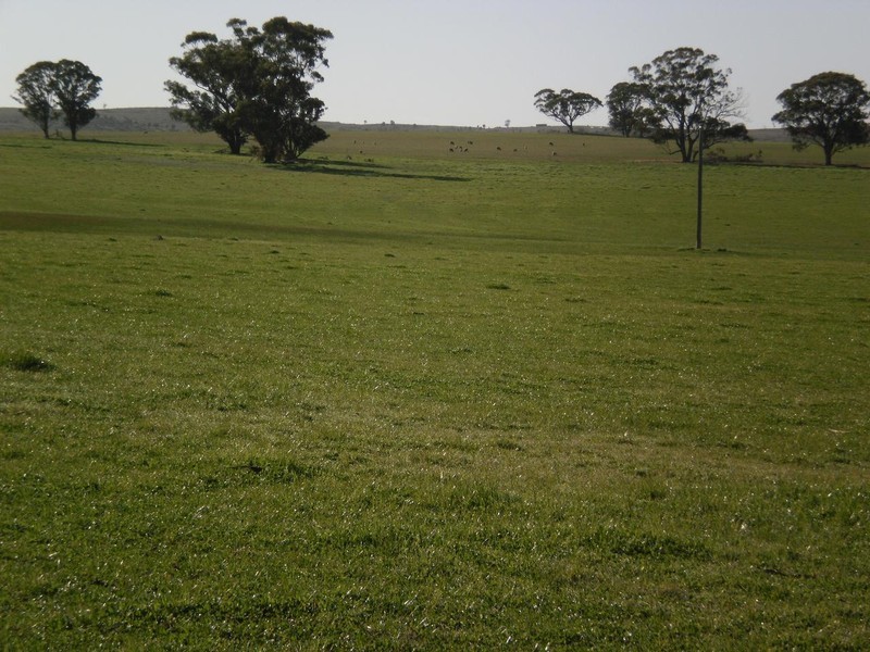 Gowar East VIC 3478