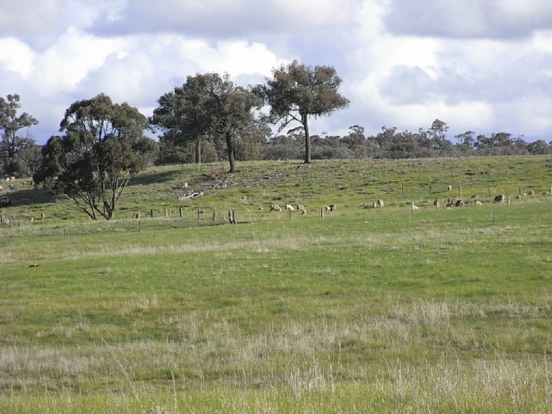 Bendigo VIC 3550