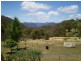 . Windy Corner, Tumut NSW 2720