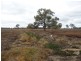 00 Cnr Poole and Baird Road, Gannawarra VIC 3568