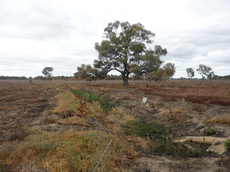 00 Cnr Poole and Baird Road, Gannawarra VIC 3568