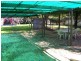 88 WOLLAMAI STREET, Finley NSW 2713