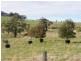 Kyneton VIC 3444