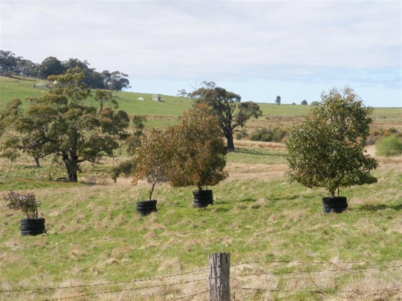 Kyneton VIC 3444