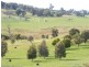Kyneton VIC 3444